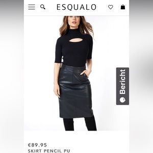 NWT Gorgeous wine coloured pencil skirt. Retails for $110.